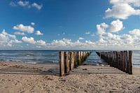 paalhoofden kust zeeland zoutelande
