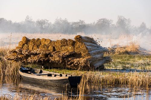 Reed Boat with Smoke, Giethoorn