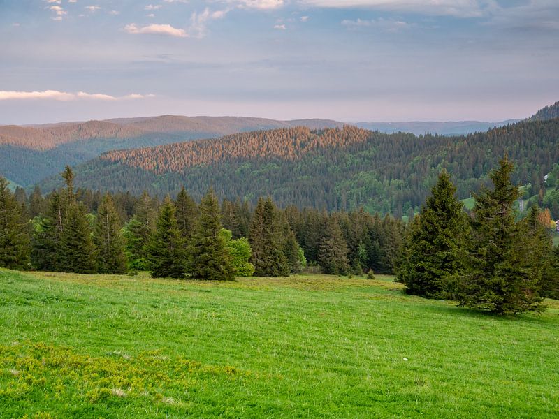 Uitzicht over het Oberzwarte Woud in Baden Württemberg van Animaflora PicsStock