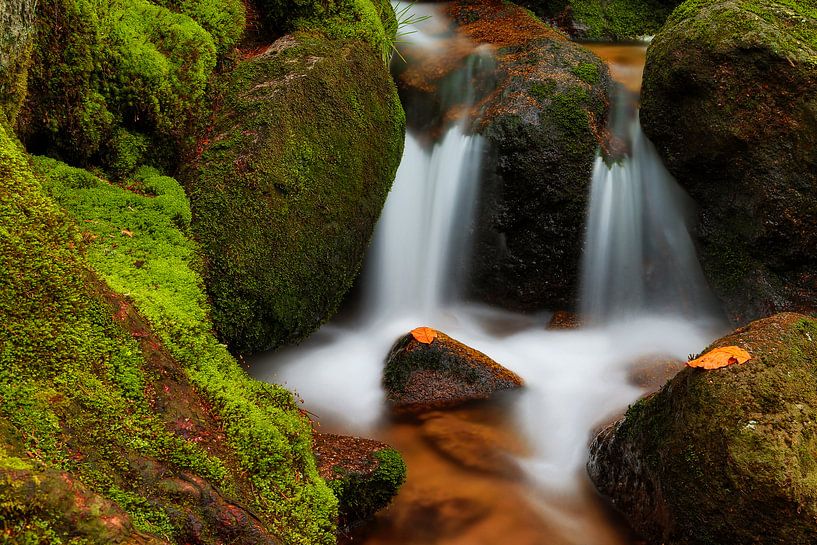 TWIN FALLS von Thomas Herzog