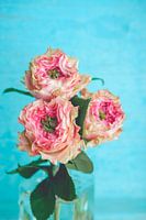 Roze rozen in glazen vaas tegen blauwe achtergrond