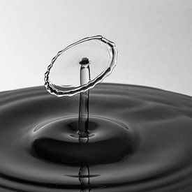 The Shape of Water | Waterdruppel Fotografie van Marc Piersma