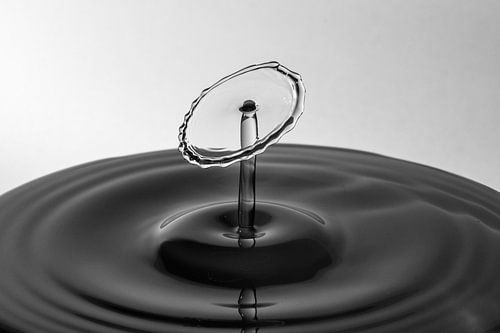 La forme de l'eau | Droplet Photographie