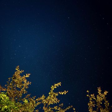 Nacht met groen van Daan van Vloten