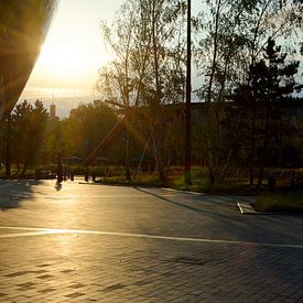 Rotterdams Museumpark während der goldenen Stunde von Gerard de Zwaan
