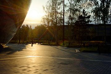 Rotterdam's Museumpark during golden hour