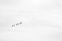 Wandern im Schnee