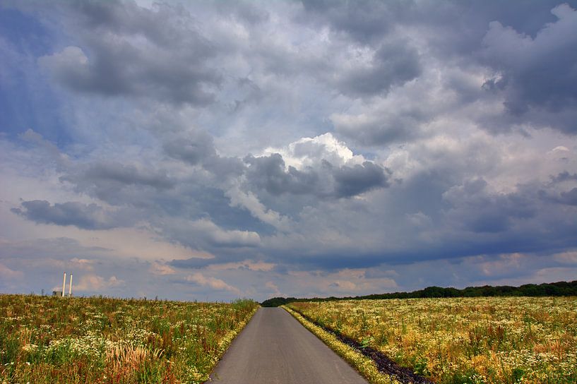 Skyway van Edgar Schermaul