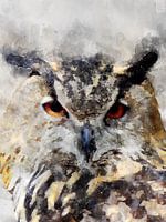 owl