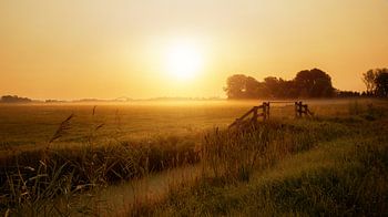 Sonnenaufgang im Nebel in Culemborg