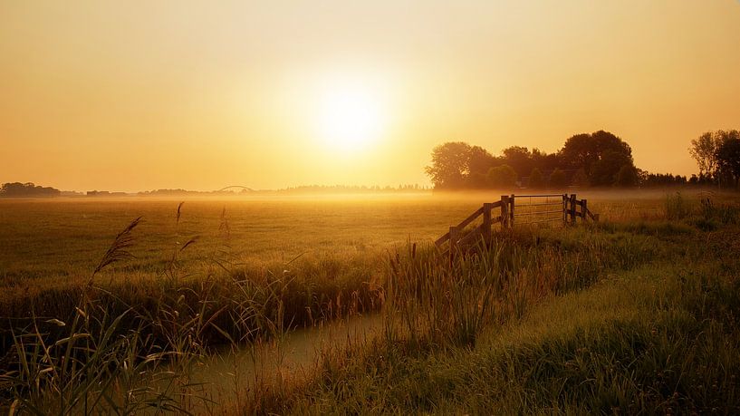 Sunrise in the fog in Culemborg by Sandra de Vries-Köhler