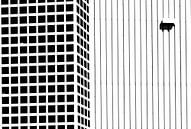 Abstraktes rotterdam in schwarz-weiß von Ilya Korzelius Miniaturansicht
