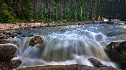 Sunwapta River Canada