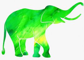 Elephant green background
