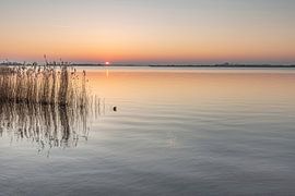 Stille vor dem Sturm von Peter Kuipers