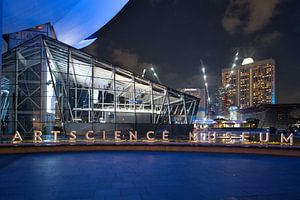Vorbeifahren am ArtScience Museum bei Nacht