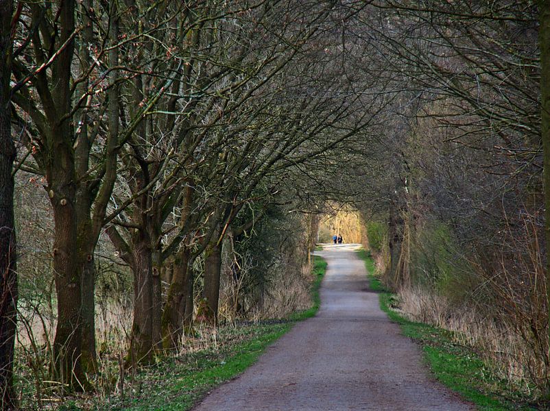 oude kasteelweg van Edgar Schermaul