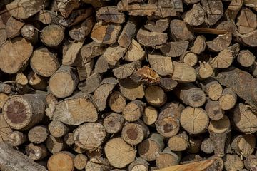 houtstapel van marco voorwinden