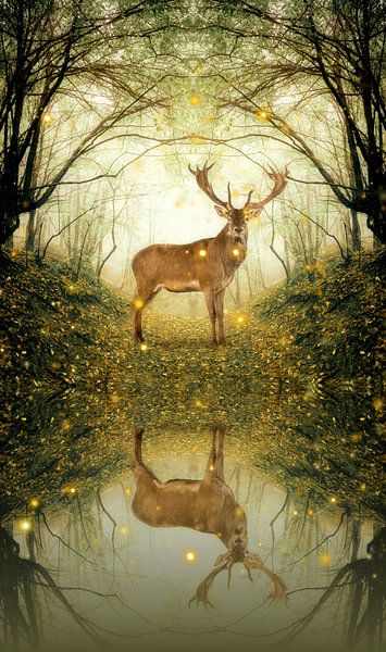 Deer in the Glen par Marja van den Hurk