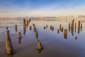 Waddenzee, Friesland (Landschap) van Edwin Kooren