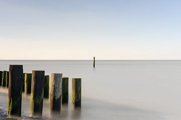 Paalhoofden in de zon in Zeeland van Claire van Dun