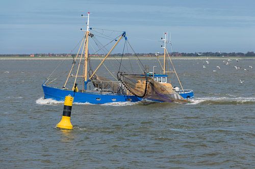 Vissersboot op de Waddenzee nabij Ameland