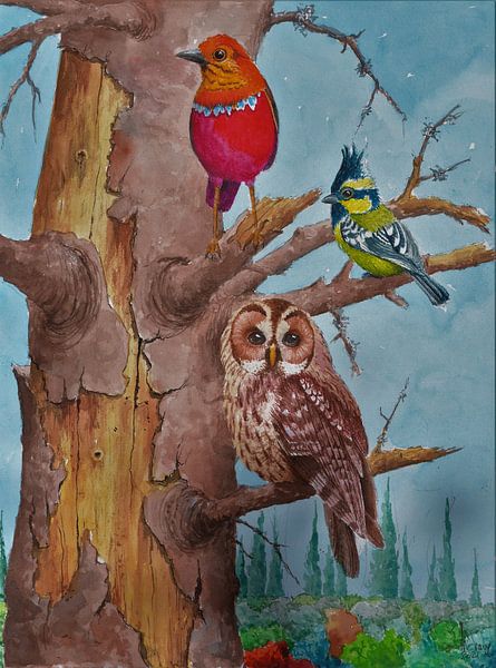 DIE DREI FREUNDE DES ALTEN BAUMES. von Michel MICHAUX