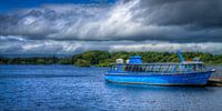 Boat on Lough Leane, Killarney National Park, Ireland van Colin van der Bel thumbnail