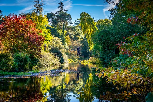 Mount Usher Gardens by Armen Sarkissian