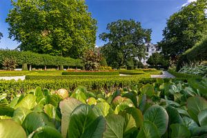 Schloss Park am Wolfsburger Schloss von Marc-Sven Kirsch