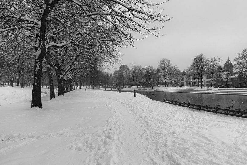 Park van Meezenbroek te Heerlen in de winter BW van Francois Debets