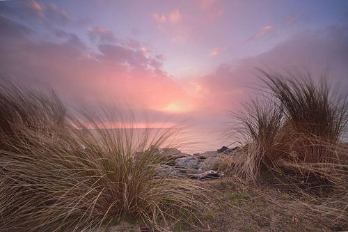 Helmgras langs het meer