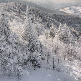 Winter im Schwarzwald von Michael Valjak