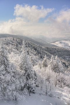 Winter im Schwarzwald von Michael Valjak