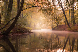 Silence by Rob Willemsen photography