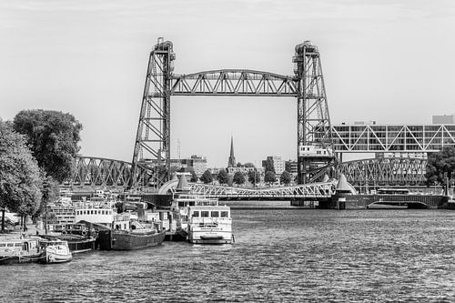Rotterdam, zicht op de Hef