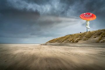 Doppelter Herbst auf Texel von Peter Smeekens