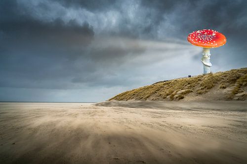 double autumn on Texel