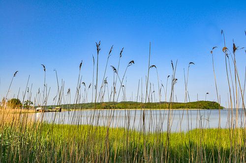 Lagune au Grand Jasmund Bodden près de Lietzow