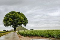 Waterloo monument en natuur