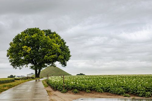 Waterloo monument en natuur van Miranda Engwerda