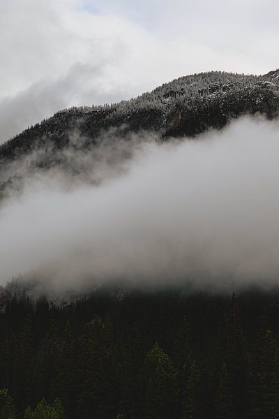 Summer vs winter by Eline Huizenga