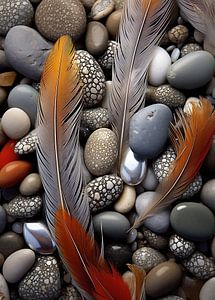 Feder am Strand