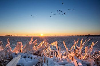 Zonsopkomst winters IJsselmeer