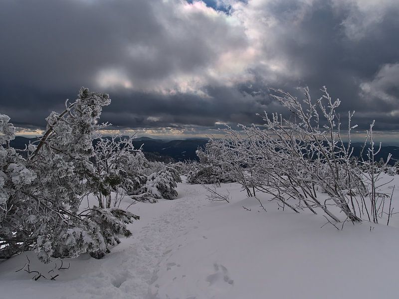 Winterlandschap met besneeuwd wandelpad in Zwarte Woud van Timon Schneider