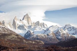 Andesgebergte in Patagonië, mount Fitz Roy by Armin Palavra