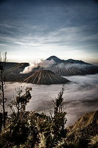 Sonnenaufgang über dem Berg Bromo und dem Nebelmeer