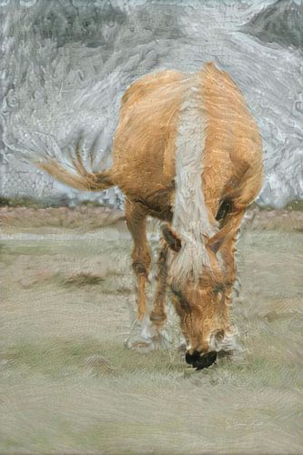 Mysterieus kunstwerk: Paard in zwaar weer