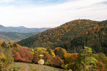 The Vosges mountains by Wim Slootweg