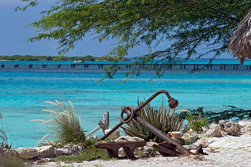 landscape caribbean by gea strucks